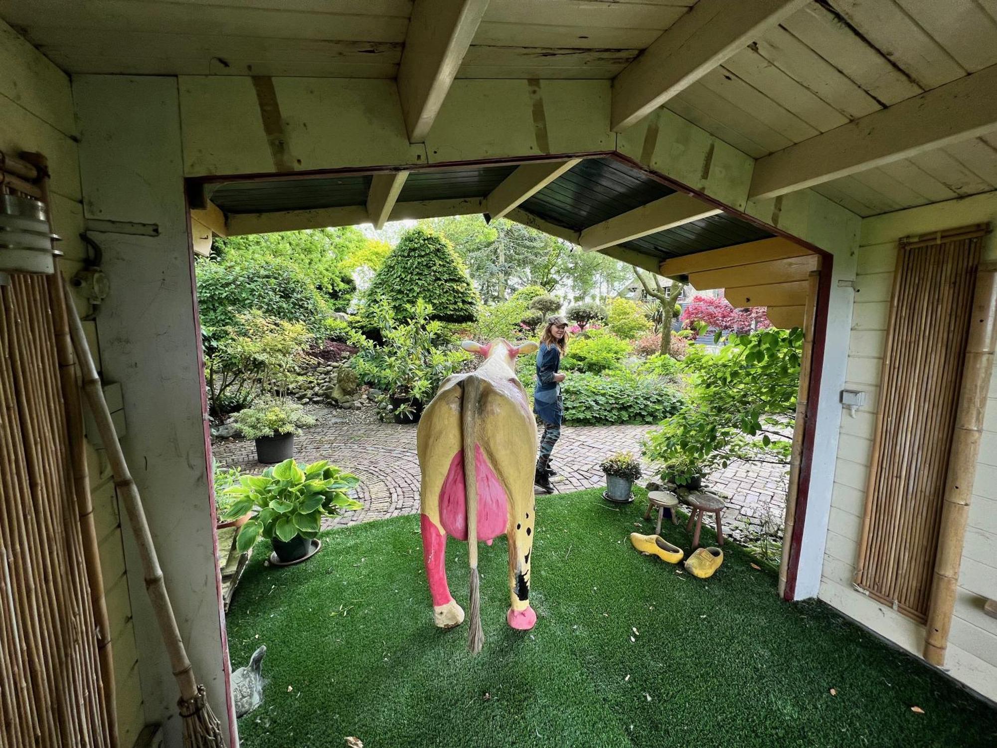 Dream Apartments Hoogwoud エクステリア 写真
